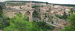 minerve